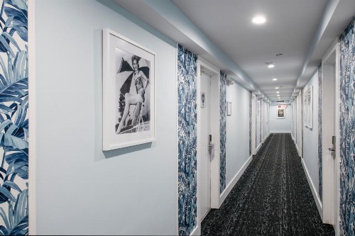 Penguin Hotel - image 18