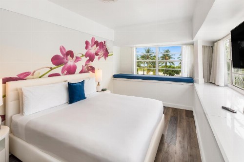 Penguin Hotel - image 4