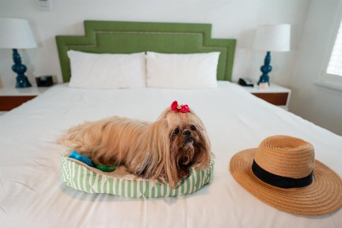 Circa 39 Hotel Miami Beach - image 37
