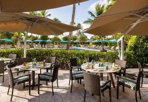 The Palms Hotel & Spa - image 13