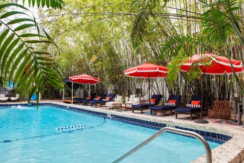 Catalina Hotel & Beach Club - image 14