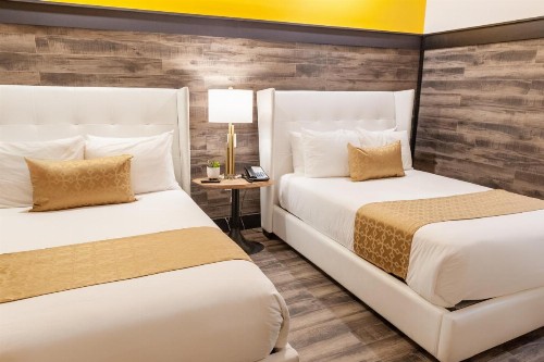 Catalina Hotel & Beach Club - image 3