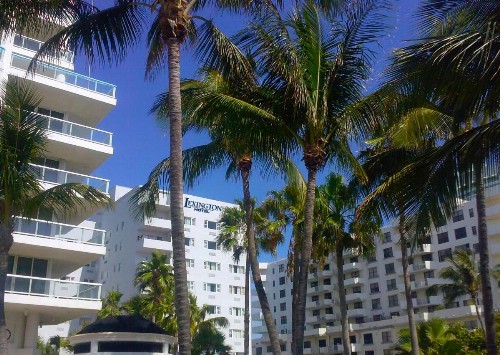 Lexington by Hotel RL Miami Beach - image 29