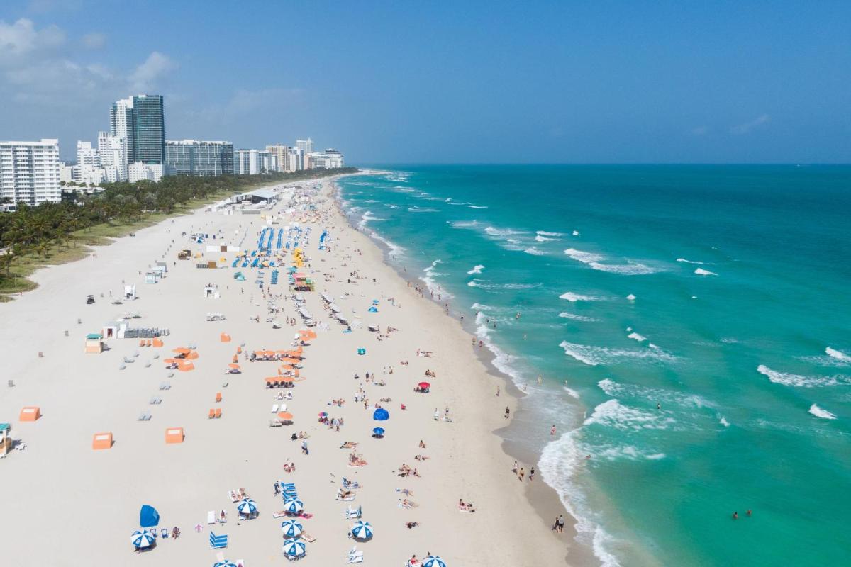 Z Ocean Hotel South Beach - image 6
