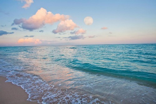 Holiday Inn Miami Beach-Oceanfront an IHG Hotel - image 12