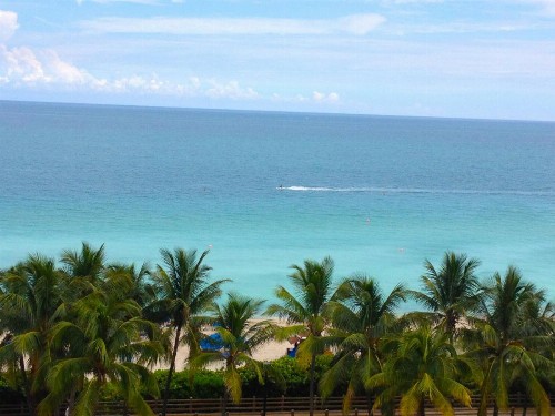 Holiday Inn Miami Beach-Oceanfront an IHG Hotel - image 19