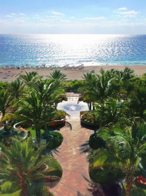 Carillon Miami Wellness Resort - image 43