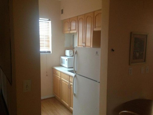 Collins Avenue Hostel - image 9