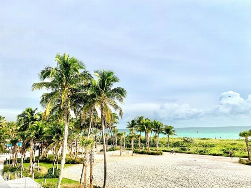 Broadmore Miami Beach - image 17