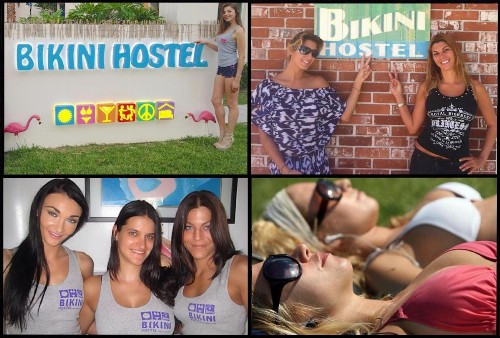Bikini Hostel Cafe & Beer Garden - image 9