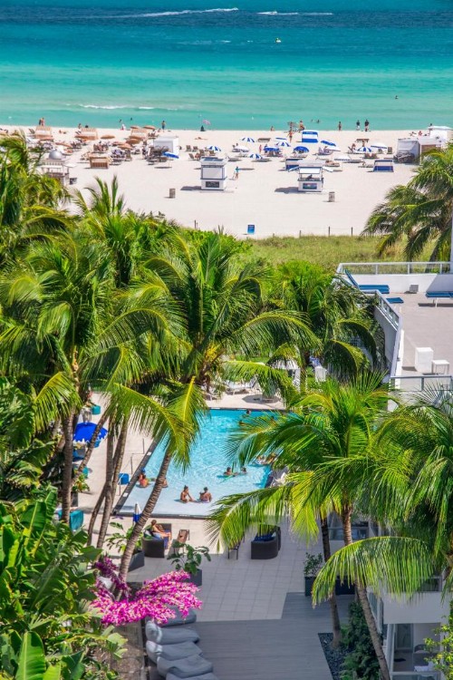 The Sagamore Hotel South Beach - image 22