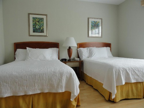 Viscay Hotel - image 3