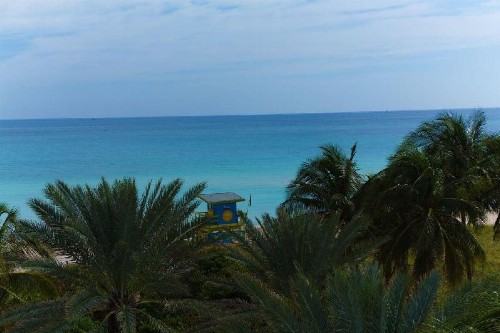Ocean Surf Hotel - image 3