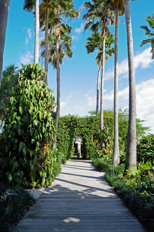 The Standard Miami - image 35