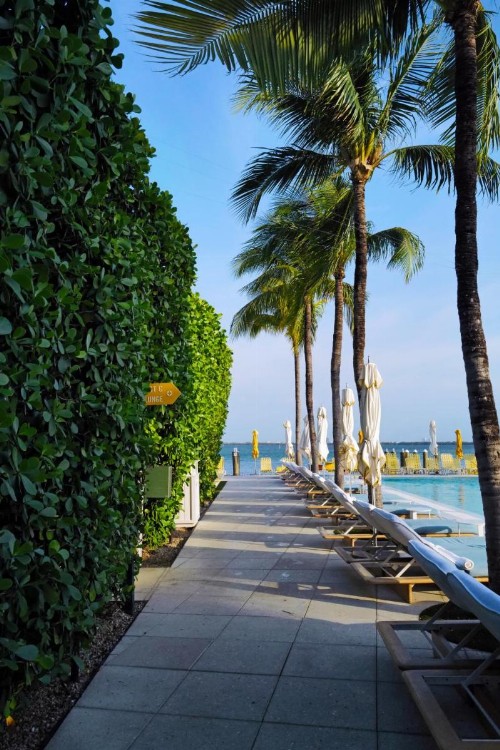 The Standard Miami - image 36