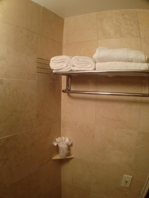 Parisian Hotel - image 14