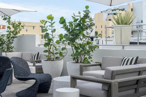 Nassau Suite Hotel - image 5