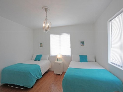 Bikini Lodge - image 15