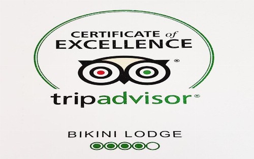 Bikini Lodge - image 5