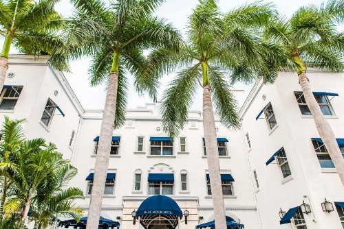 Blue Moon Hotel - image 9