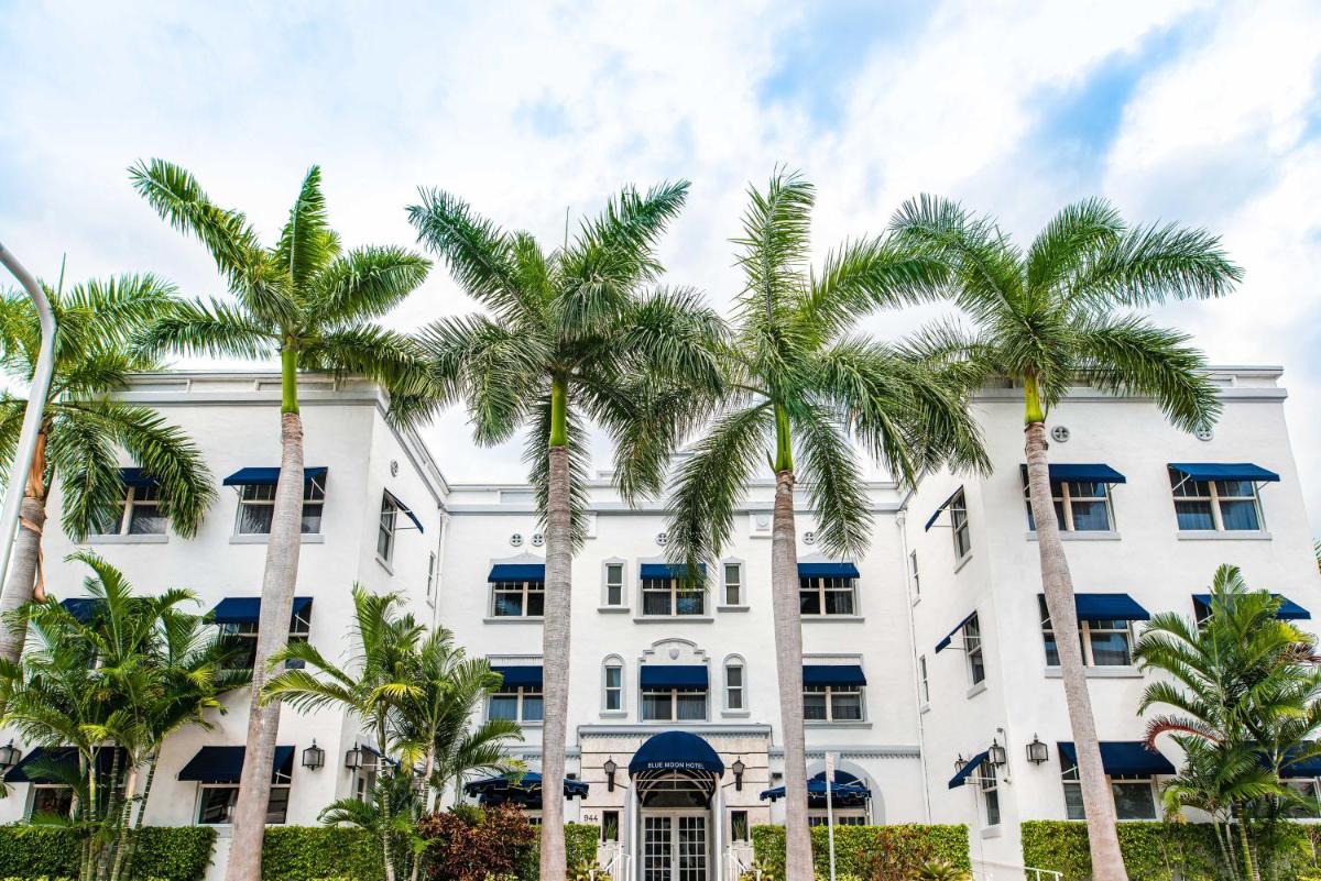 Blue Moon Hotel - image 6
