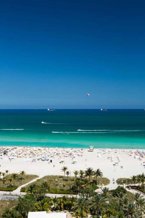 Gale South Beach Curio Collection By Hilton - image 5