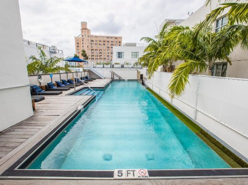 Posh South Beach - image 15