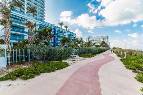 Monte Carlo by Miami Ambassadors - image 46