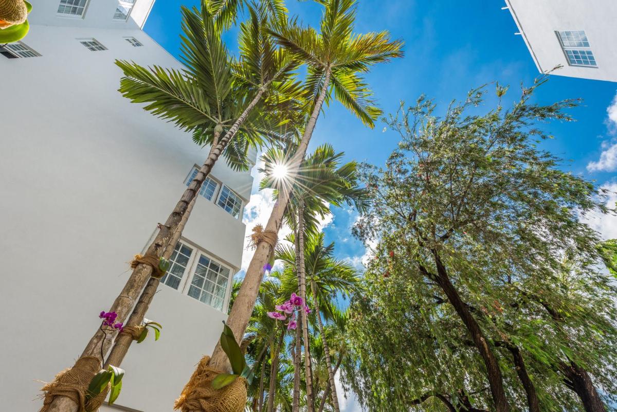 Hotel Belleza - image 2
