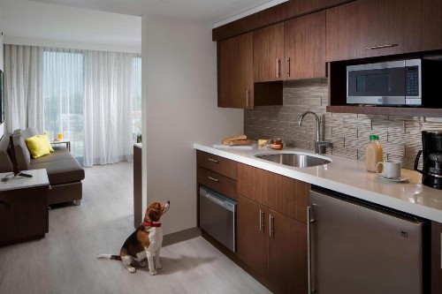 Residence Inn by Marriott Miami Beach South Beach - image 9