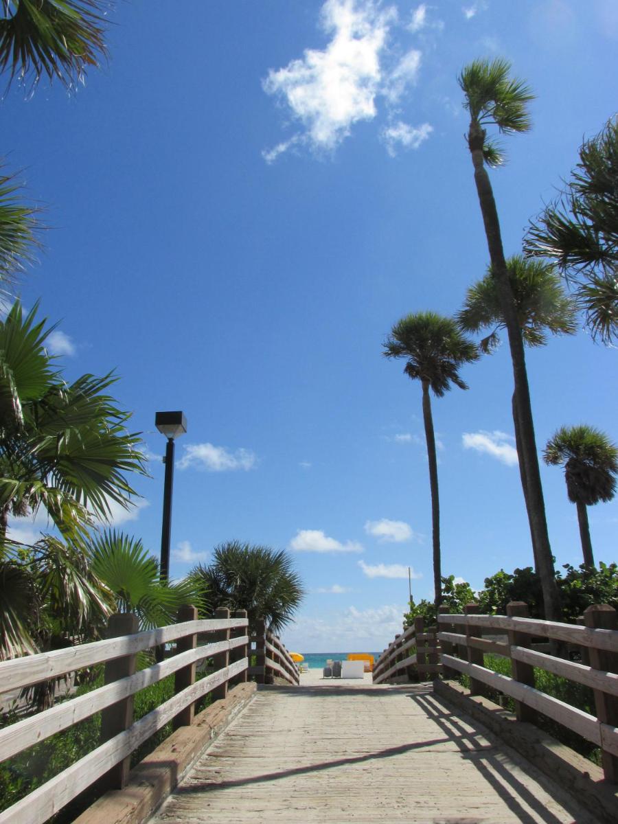 Ocean Blue - image 6