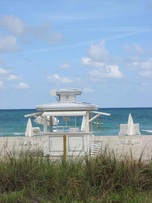 Ocean Blue - image 8