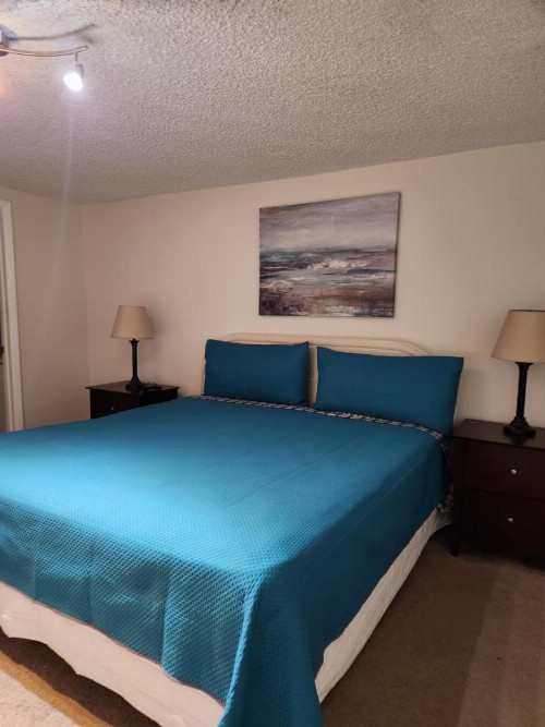 L&D Vacations Rentals - image 21