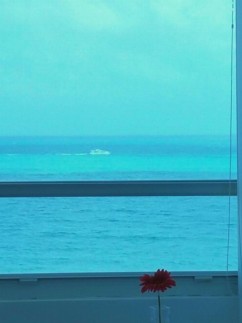 L&D Vacations Rentals - image 36