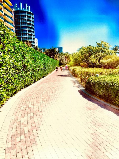 Apartment at De Soleil Hotel on Ocean Drive - image 4