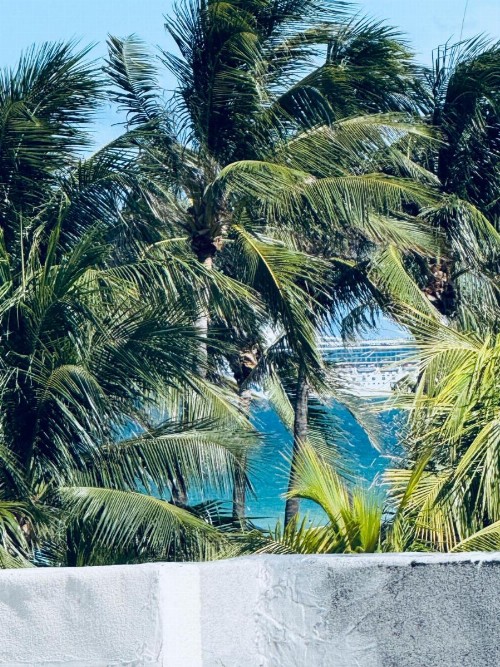 Apartment at De Soleil Hotel on Ocean Drive - image 47