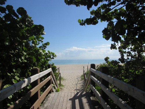 Ocean Breeze - image 9