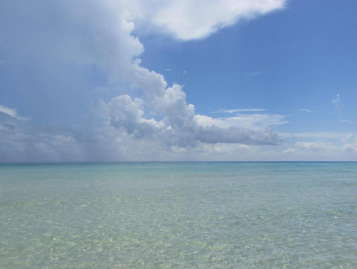 Ocean Breeze - image 7