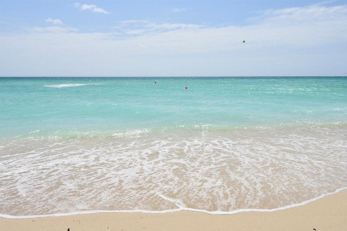 NoBeVIP at the OLSEN on the BEACH! - image 1