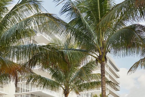 Four Seasons Hotel at The Surf Club - image 28