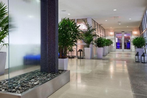 SoBe Ocean Drive Suites - image 7