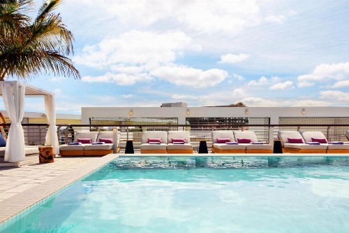 Kimpton - Hotel Palomar South Beach an IHG Hotel - image 34