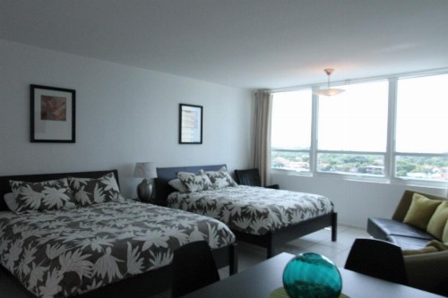 Penthouse in the sky - image 26