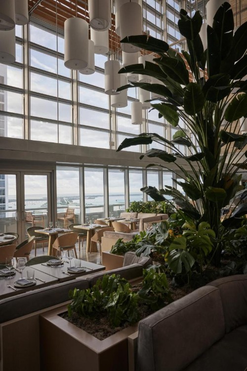 Conrad Miami - image 27