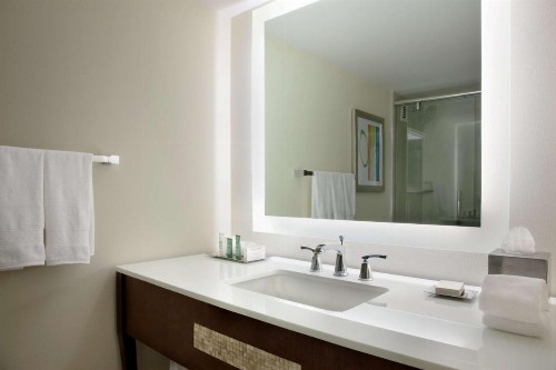 Hilton Miami Airport Blue Lagoon - image 18