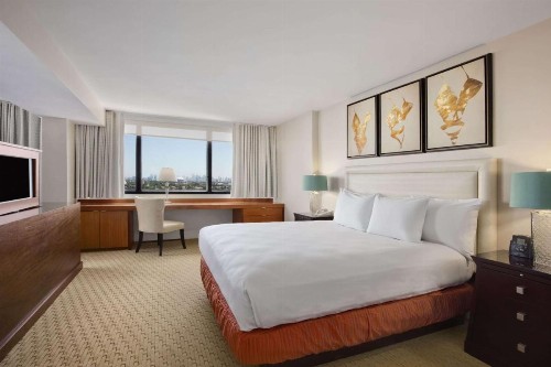 Hilton Miami Airport Blue Lagoon - image 34