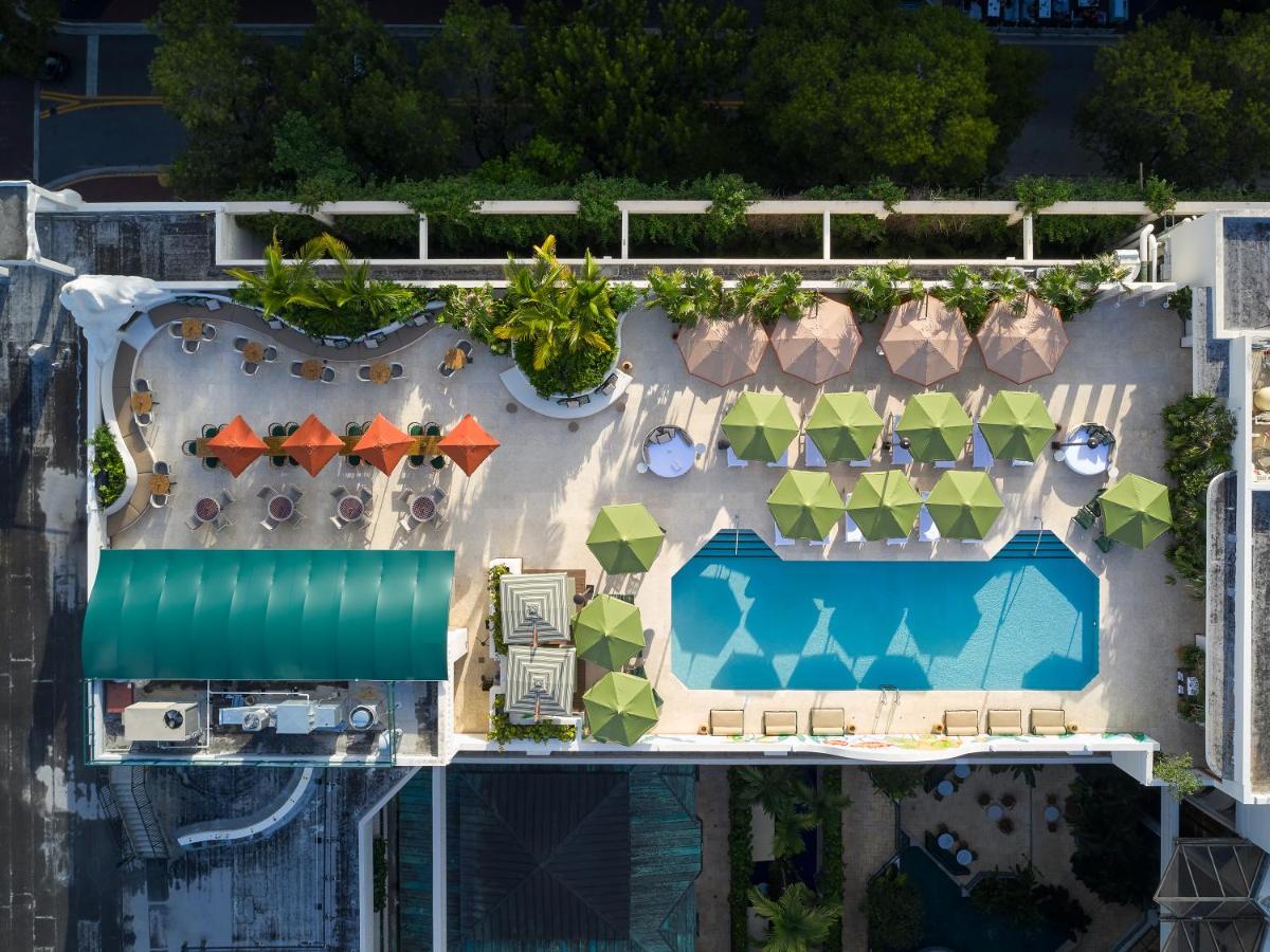 The Mayfair at Coconut Grove - image 6