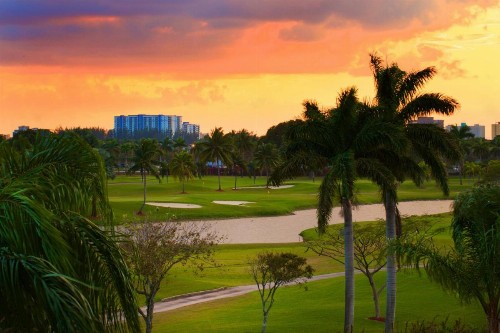 Sheraton Miami Airport Hotel and Executive Meeting Center - image 45