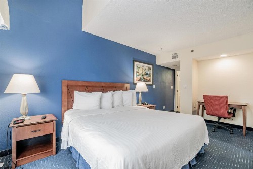 Doral Inn & Suites Miami Airport West - image 24