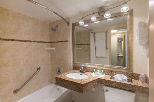 Holiday Inn Hotel Port of Miami-Downtown an IHG Hotel - image 47